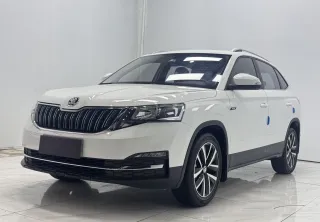 Skoda Kamiq 2023 — фото 1 из 22