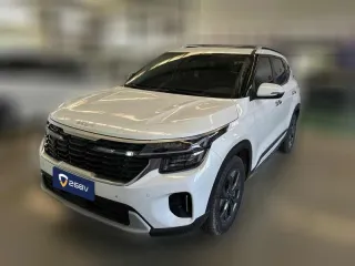 Kia Seltos 2023 — фото автомобиля из Китая