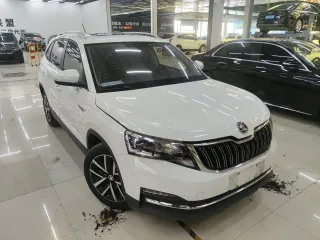 Skoda Kamiq 2023 — фото 2 из 3