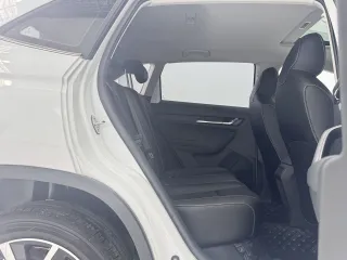 Skoda Kamiq 2023 — фото 18 из 58