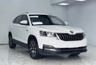 Skoda Kamiq 2023 — фото 34 из 58