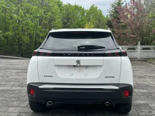 Peugeot 2008.0 2023 — фото 6 из 15