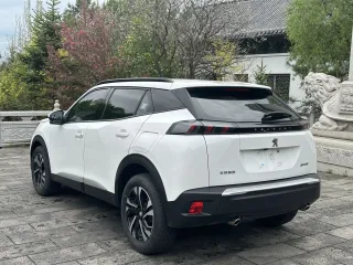 Peugeot 2008.0 2023 — фото 7 из 15