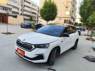 Skoda Kamiq 2023 — фото 11 из 19
