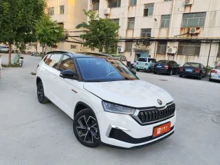 Skoda Kamiq 2023 — фото 12 из 19
