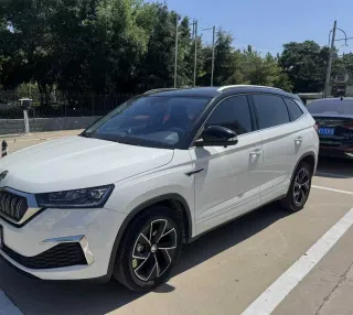 Skoda Kamiq 2023 — фото 15 из 19