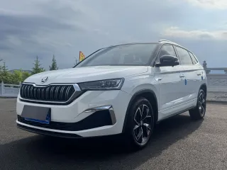 Skoda Kamiq 2023 — фото 51 из 56