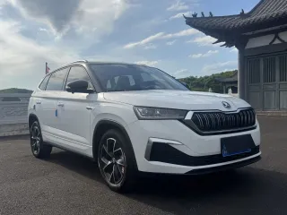 Skoda Kamiq 2023 — фото 1 из 19