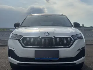 Skoda Kamiq 2023 — фото 52 из 56