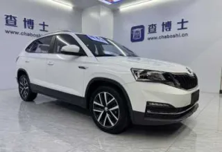 Skoda Kamiq 2023 — фото 6 из 14
