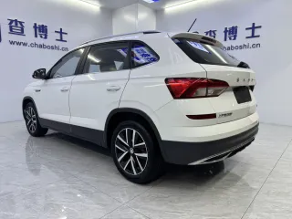 Skoda Kamiq 2023 — фото 4 из 14