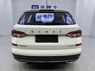 Skoda Kamiq 2023 — фото 5 из 14