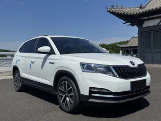 Skoda Kamiq 2023 — фото 50 из 56