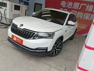 Skoda Kamiq 2022 — фото 2 из 7