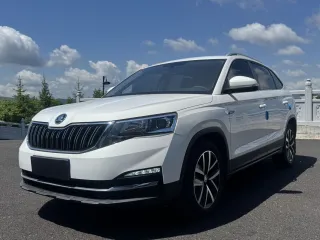 Skoda Kamiq 2022 — фото 18 из 35