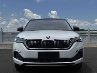 Skoda Kamiq 2023 — фото 2 из 20