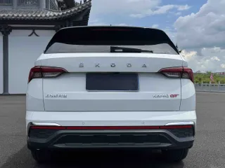 Skoda Kamiq 2023 — фото 5 из 20