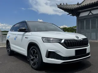 Skoda Kamiq 2023 — фото 50 из 56