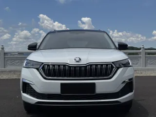 Skoda Kamiq 2023 — фото 51 из 56