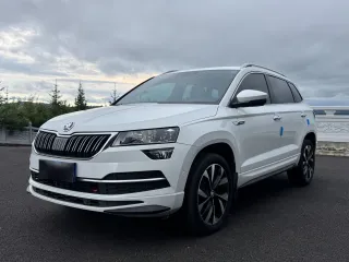 Skoda Karoq 2023 — фото автомобиля из Китая