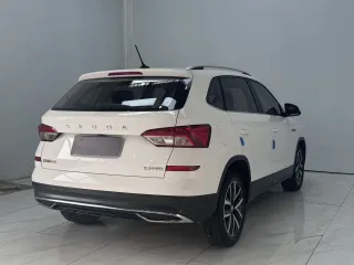 Skoda Kamiq 2022 — фото 6 из 22