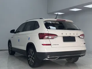 Skoda Kamiq 2022 — фото 4 из 22