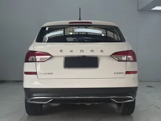 Skoda Kamiq 2022 — фото 5 из 22