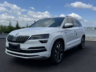 Skoda Karoq 2022 — фото автомобиля из Китая