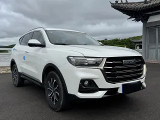 Haval H6 2022 — фото 5 из 24