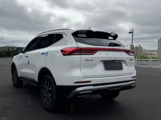 Haval H6 2022 — фото 6 из 24
