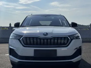 Skoda Kamiq 2023 — фото 2 из 25