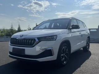 Skoda Kamiq 2023 — фото автомобиля из Китая
