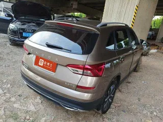 Skoda Kamiq 2022 — фото 3 из 6