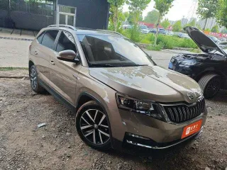 Skoda Kamiq 2022 — фото 5 из 6