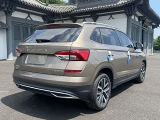 Skoda Kamiq 2022 — фото 51 из 58