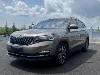 Skoda Kamiq 2022 — фото автомобиля из Китая