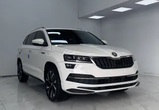 Skoda Karoq 2022 — фото 48 из 54