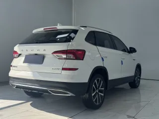 Skoda Kamiq 2022 — фото 6 из 22