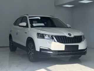Skoda Kamiq 2022 — фото 3 из 22