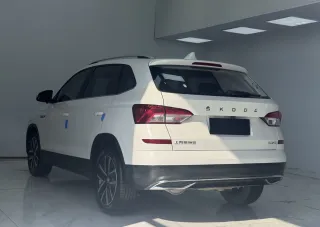 Skoda Kamiq 2022 — фото 5 из 22