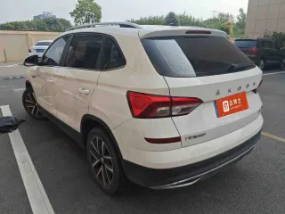 Skoda Kamiq 2022 — фото 3 из 5