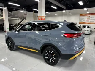 Haval H6 2023 — фото 19 из 27