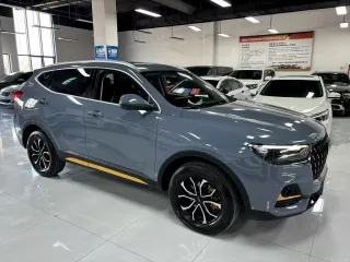 Haval H6 2023 — фото 20 из 27