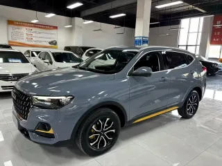 Haval H6 2023 — фото 21 из 27