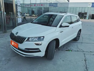 Skoda Karoq 2023 — фото автомобиля из Китая