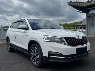 Skoda Kamiq 2022 — фото 3 из 24