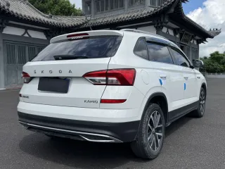Skoda Kamiq 2022 — фото 6 из 24