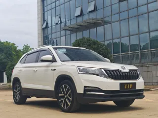 Skoda Kamiq 2022 — фото 1 из 24