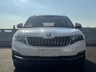 Skoda Kamiq 2021 — фото 2 из 26