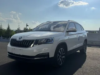 Skoda Kamiq 2021 — фото 1 из 26